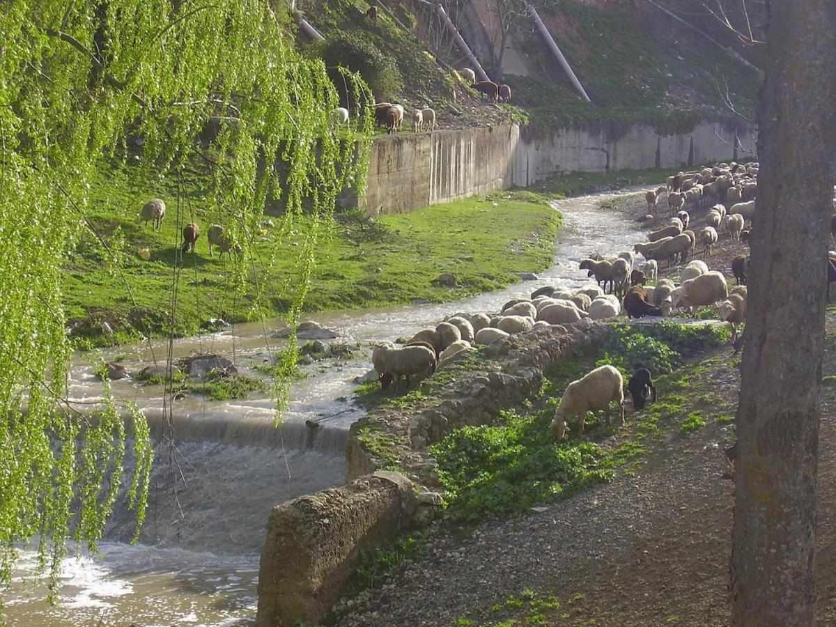 Alojamiento El Cortijuelo Villa Escoznar Dış mekan fotoğraf