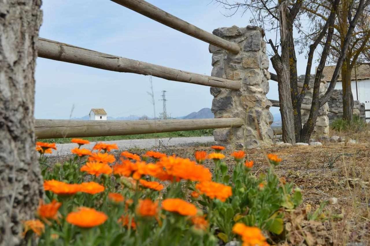 Alojamiento El Cortijuelo Villa Escoznar Dış mekan fotoğraf