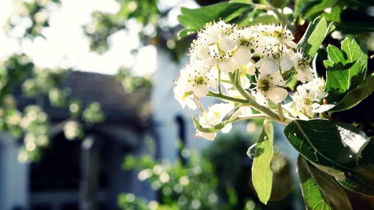 Alojamiento El Cortijuelo Villa Escoznar Dış mekan fotoğraf